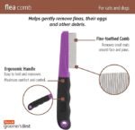 Flea - Image 2